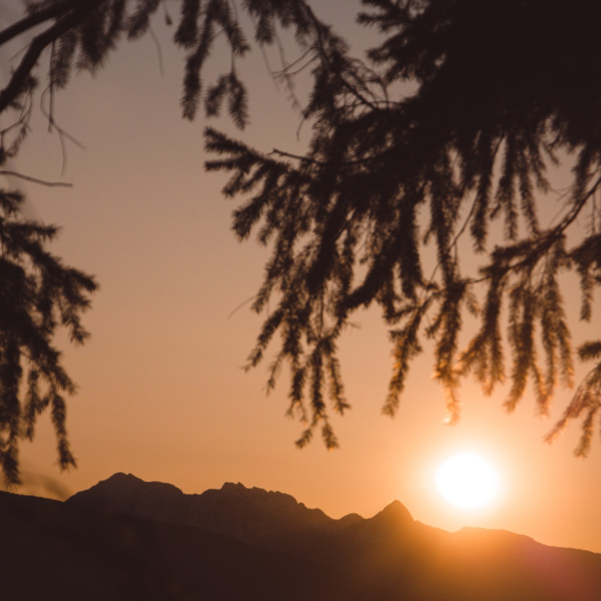 Gratitude – a dive into inner&nbsp;peace