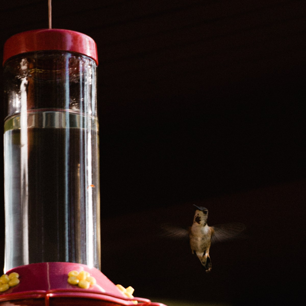 savouring summer – an amateur’s guide to soaking it all&nbsp;in.