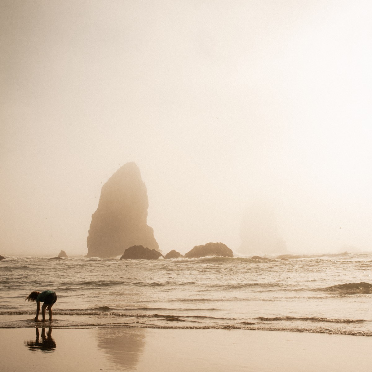 Wedding Season – Part&nbsp;I/III